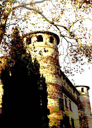 visita al castello Orsini d...